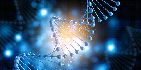 Health and Life Sciences Foundation